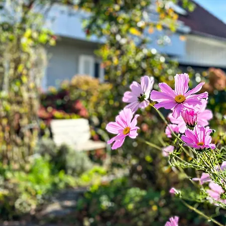 Schnell Guest house